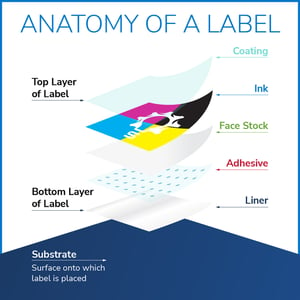 label-anatomy