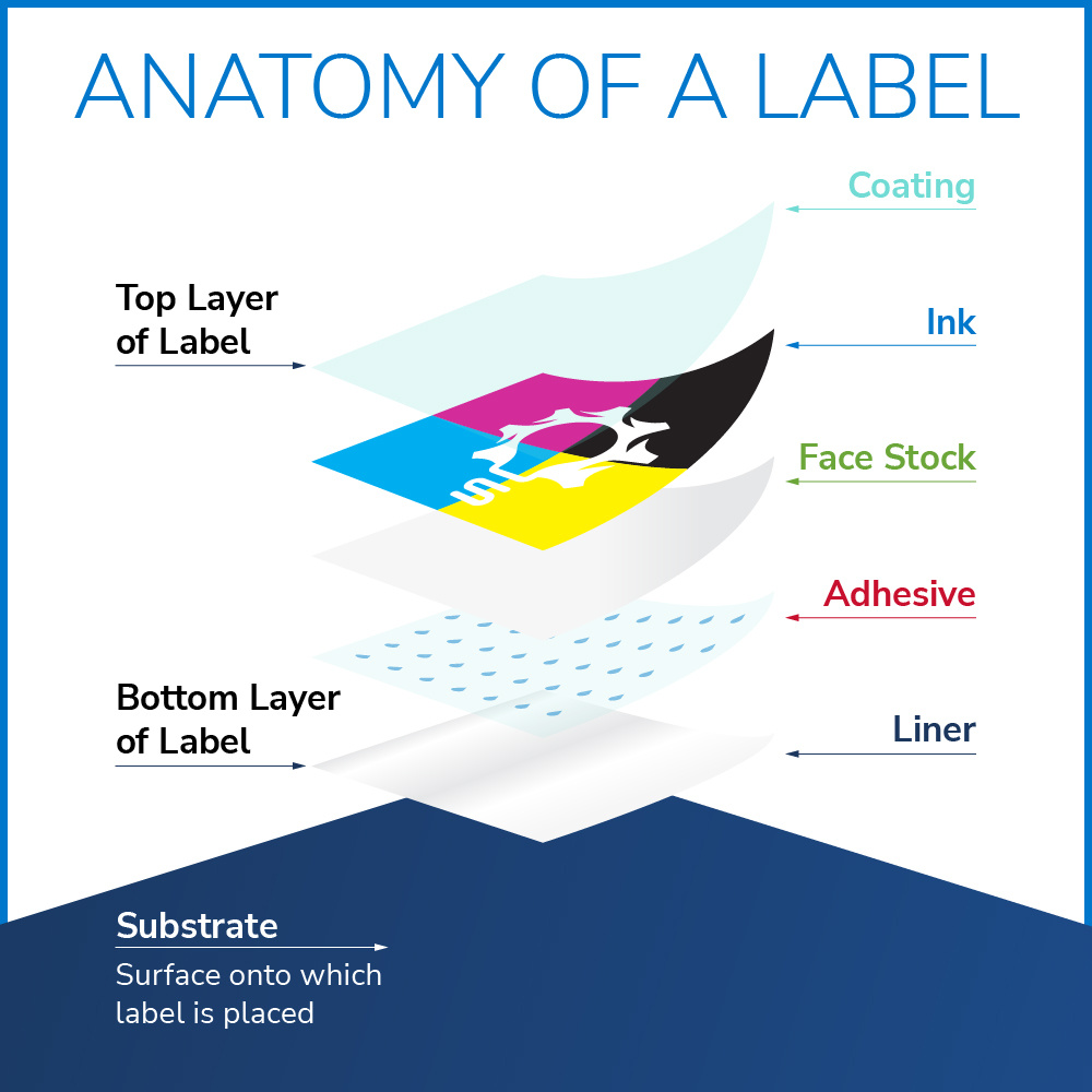 label-anatomy-jpg